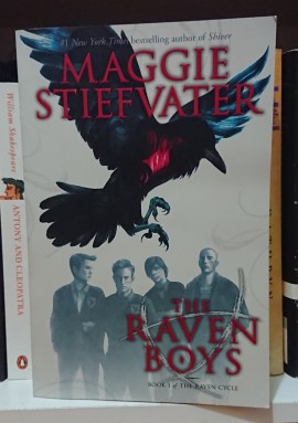 The Raven Boys